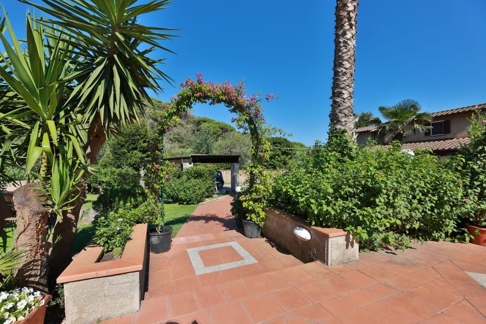 Day, Garden, Garden view