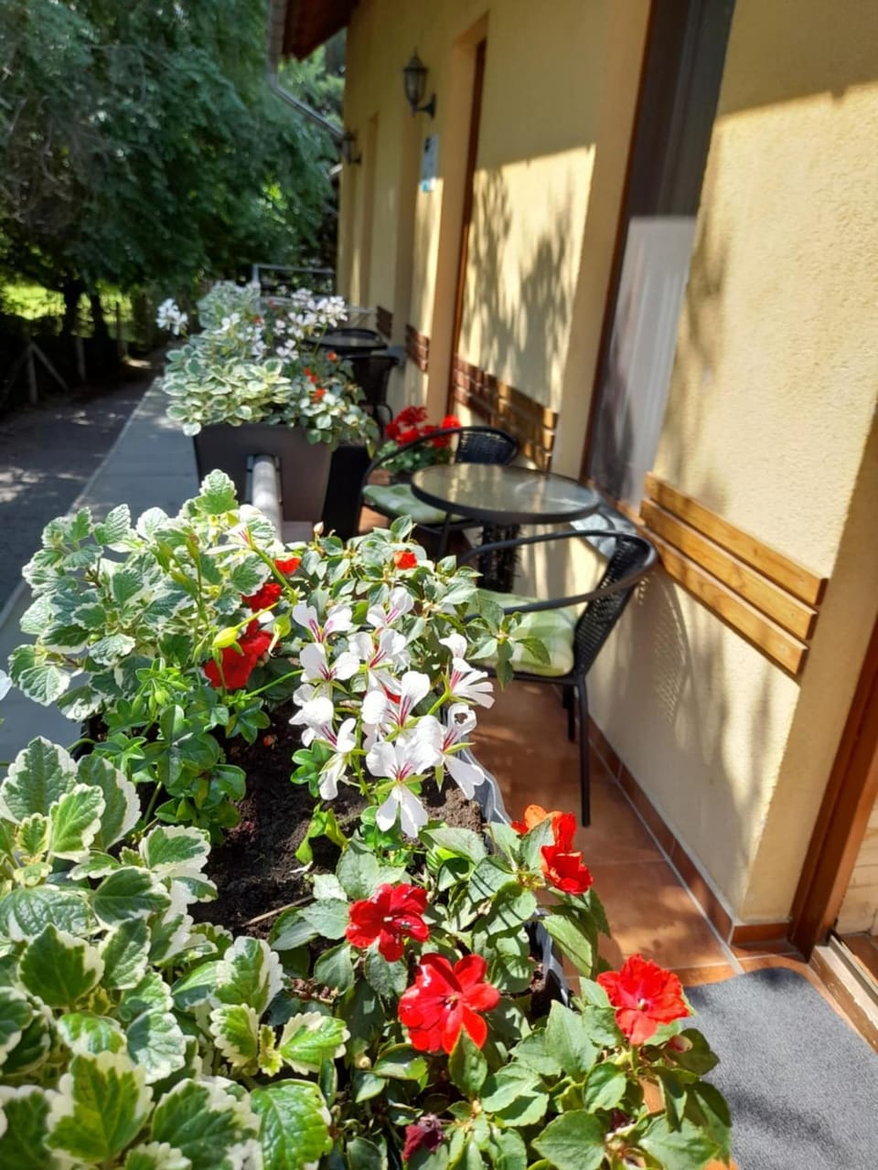 Spring, Day, Garden, Balcony/Terrace