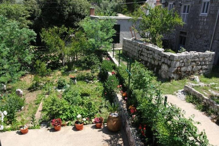 Baldo's Happy Garden- BRAND NEW Apartment in Korita, Mljet
