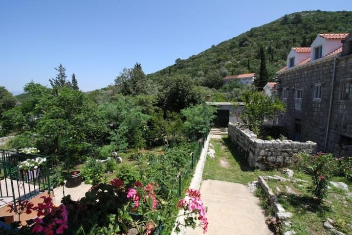Baldo's Happy Garden- BRAND NEW Apartment in Korita, Mljet