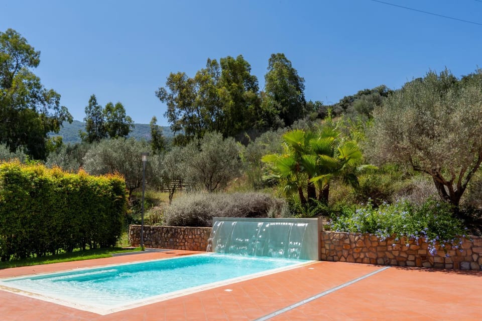 Natural landscape, Garden, Pool view, Swimming pool