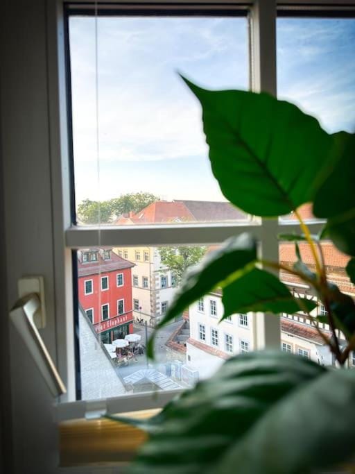Erfurter Altstadtbrise II Apartment in Erfurt