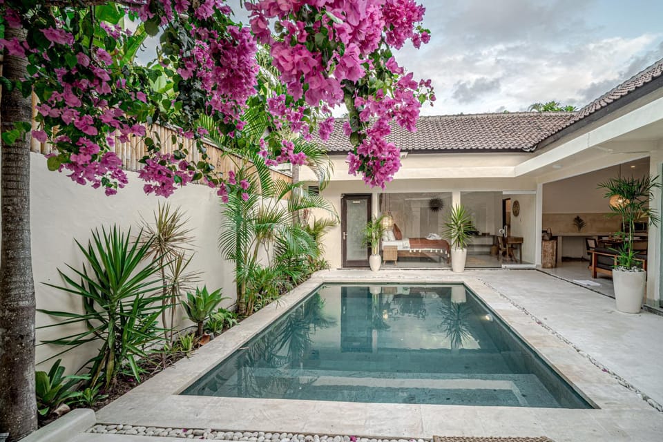 Garden, Garden view, Pool view, Swimming pool