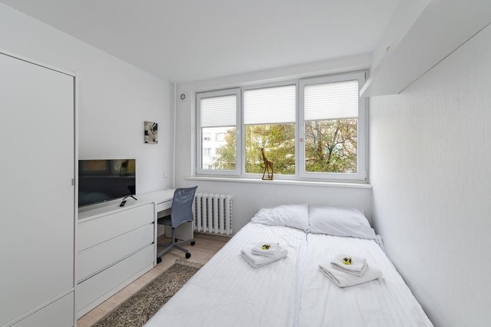Bed, TV and multimedia, towels