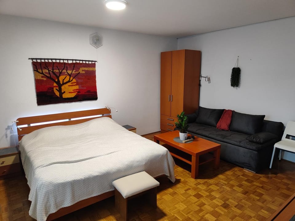 Apartma Marko Rogaška Apartment in Slovenia