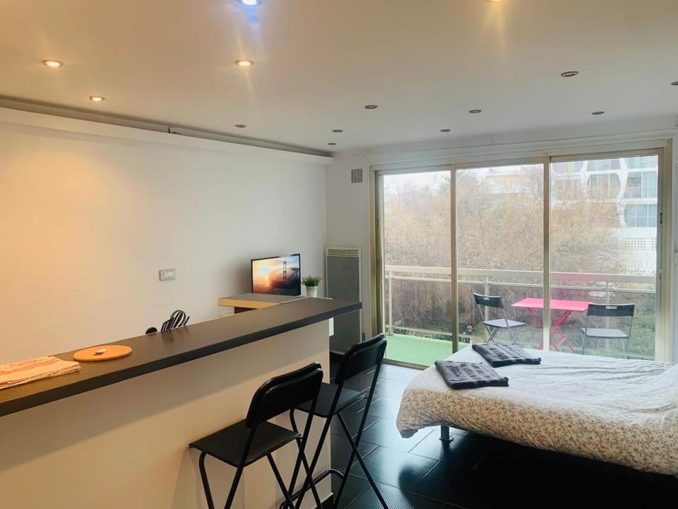 Studio Goeland Apartment in La Grande-Motte
