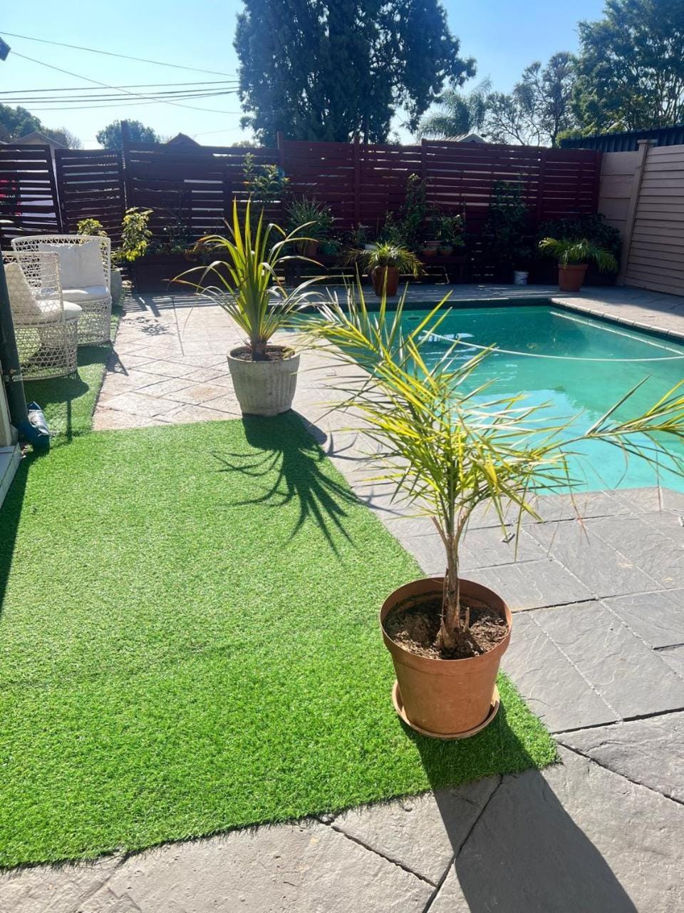 Swimming pool