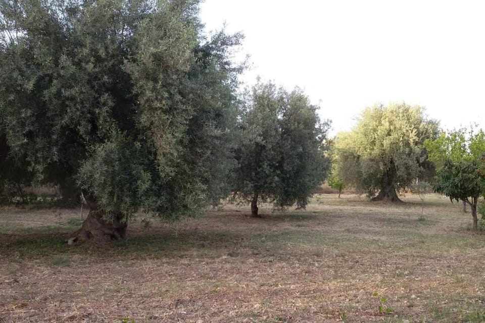 Dimore del Carrubo - loft ad Avola House in Sicily