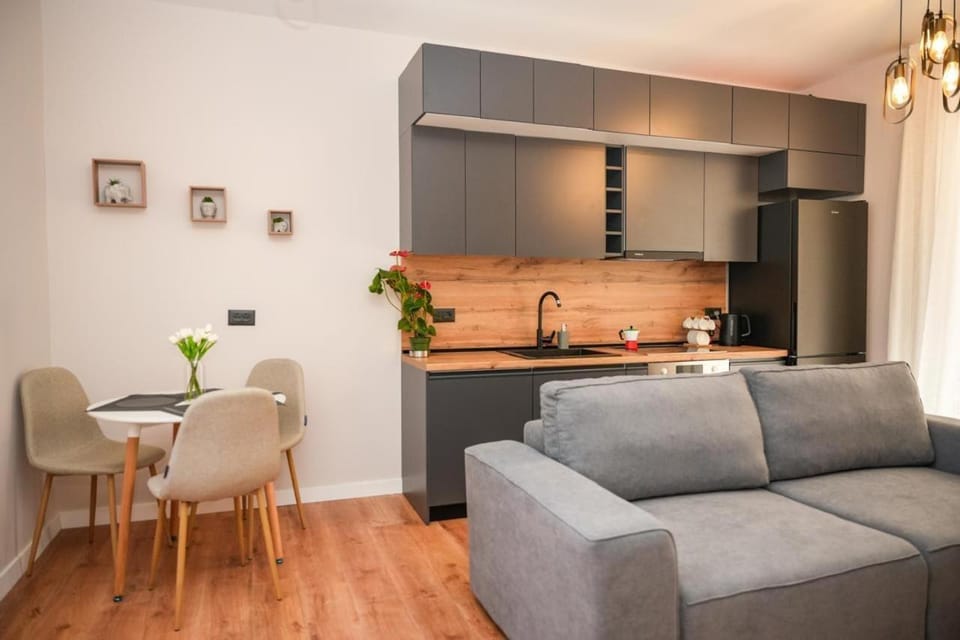 Kitchen or kitchenette, Living room, Dining area