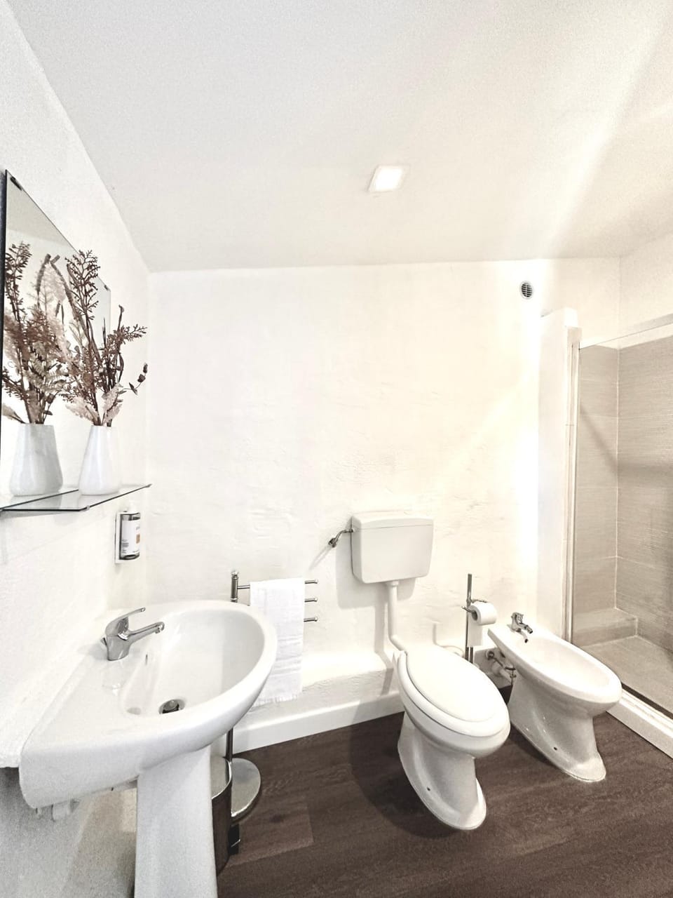 Toilet, Bathroom, bidet