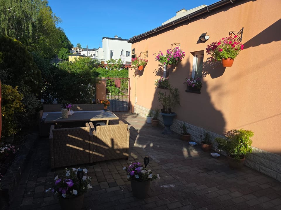 Garden view