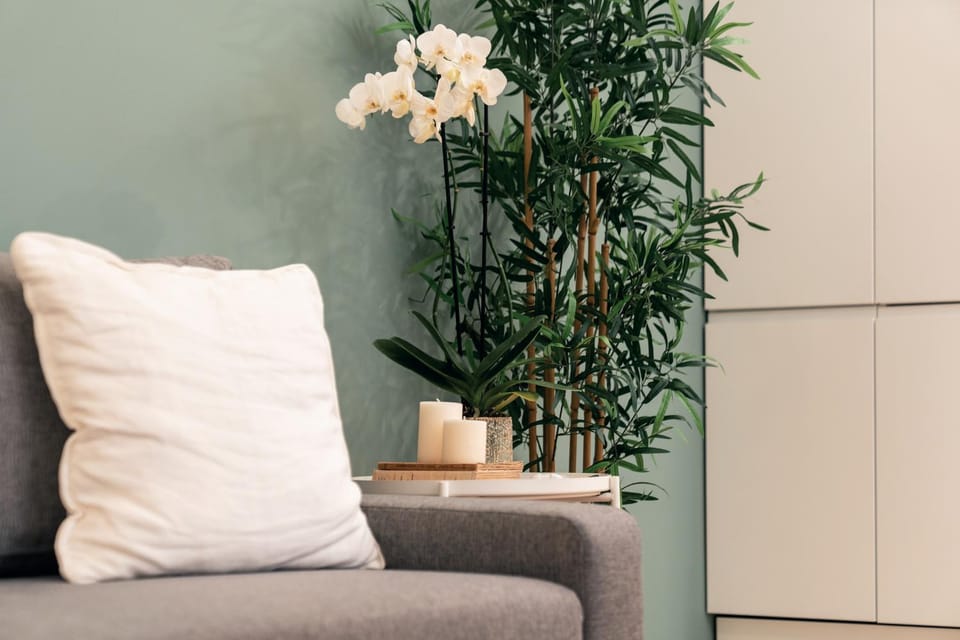 Emma Bliss Apartment Apartment in Rome