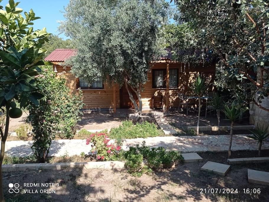 Property building, Day, Garden
