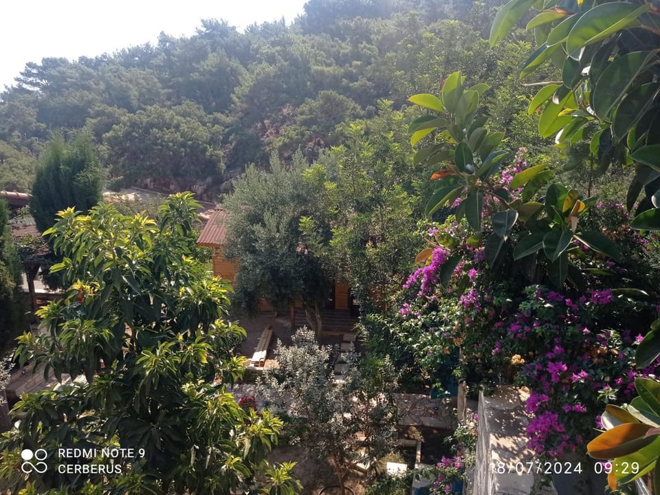 Property building, Off site