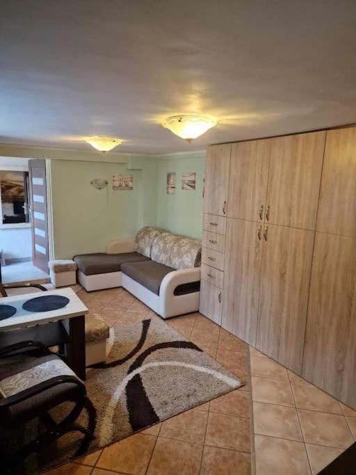 Pod Brzózką Apartment in Pomeranian Voivodeship