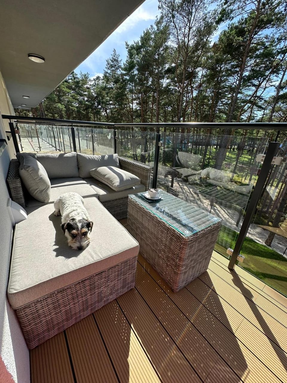 Balcony/Terrace