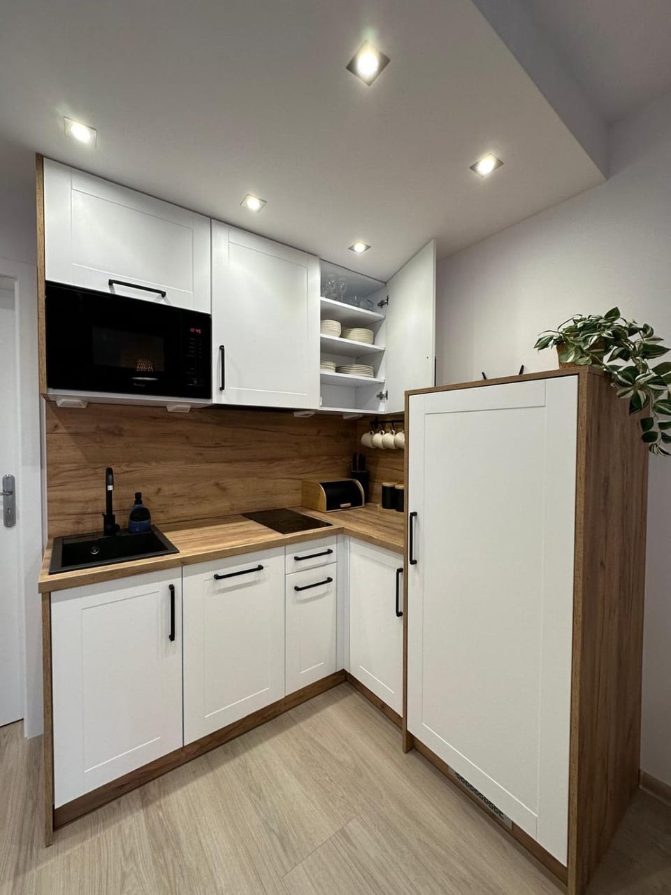 Modrzewiowa Enklawa Rowy Apartment in Pomeranian Voivodeship