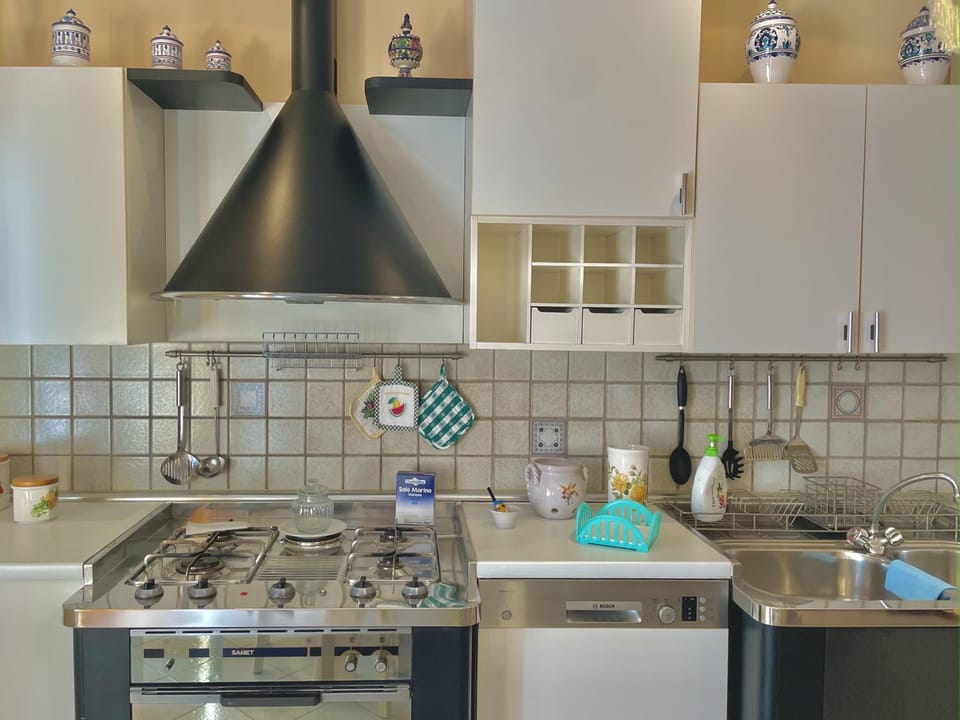 Kitchen or kitchenette, dishwasher, pet friendly, stove