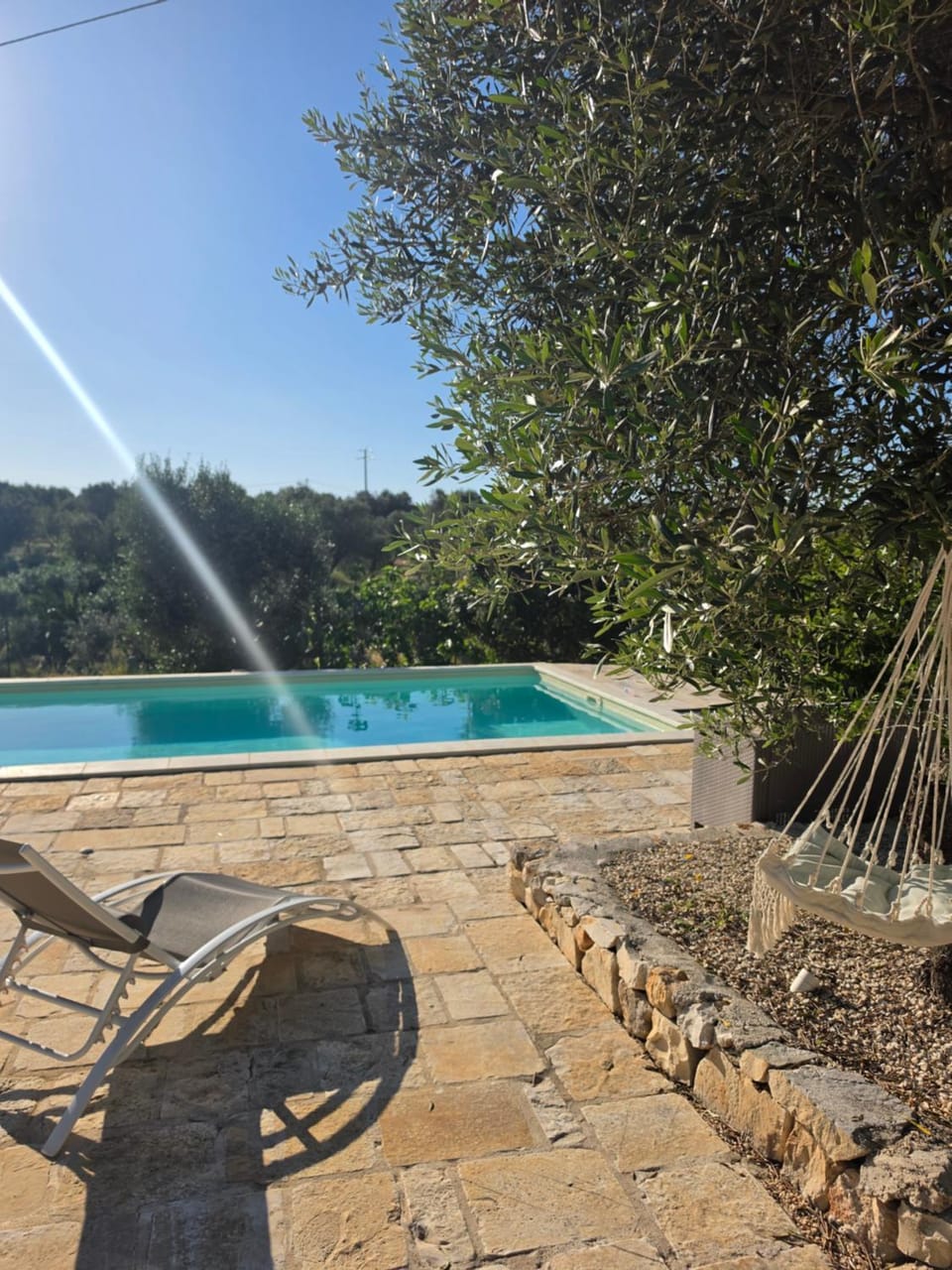 Patio, Day, Natural landscape, Garden, Garden view, Pool view, Swimming pool, sunbed