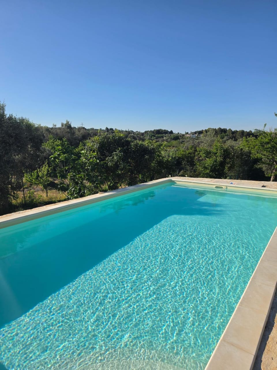 Day, Natural landscape, Pool view, Swimming pool