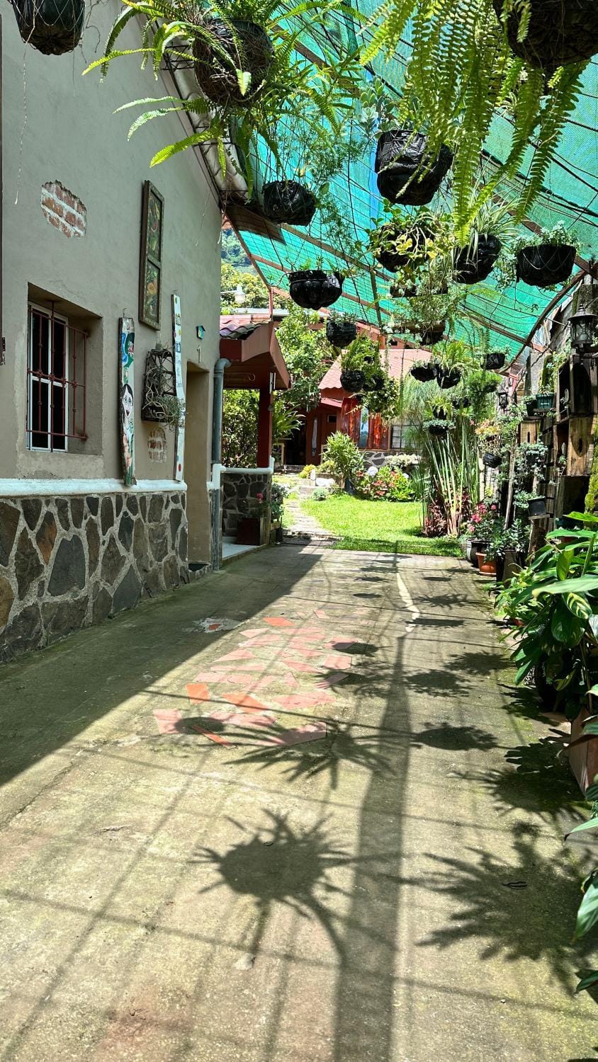 1961 Los Naranjos Hostal Bed and Breakfast in El Salvador