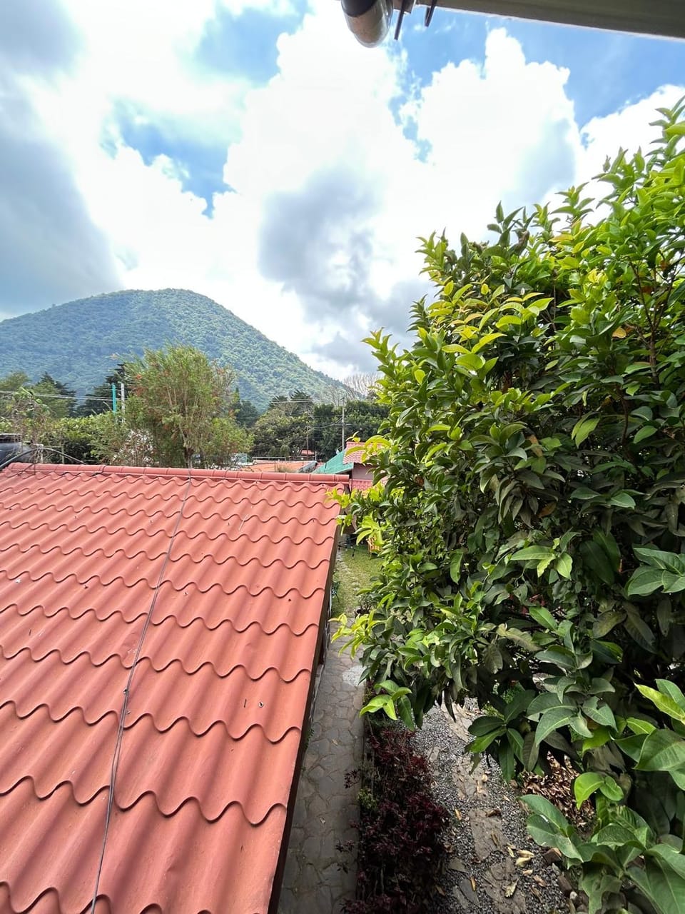 1961 Los Naranjos Hostal Bed and Breakfast in El Salvador