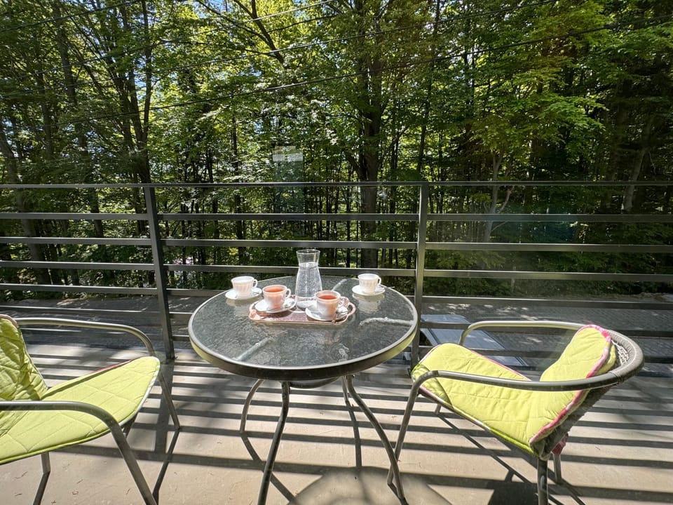 View (from property/room), Balcony/Terrace