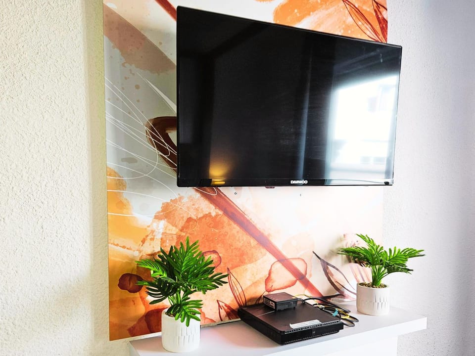 TV and multimedia
