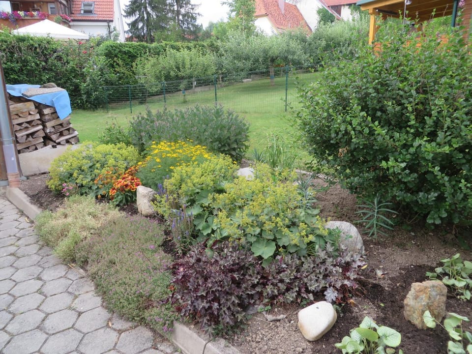 Garden view