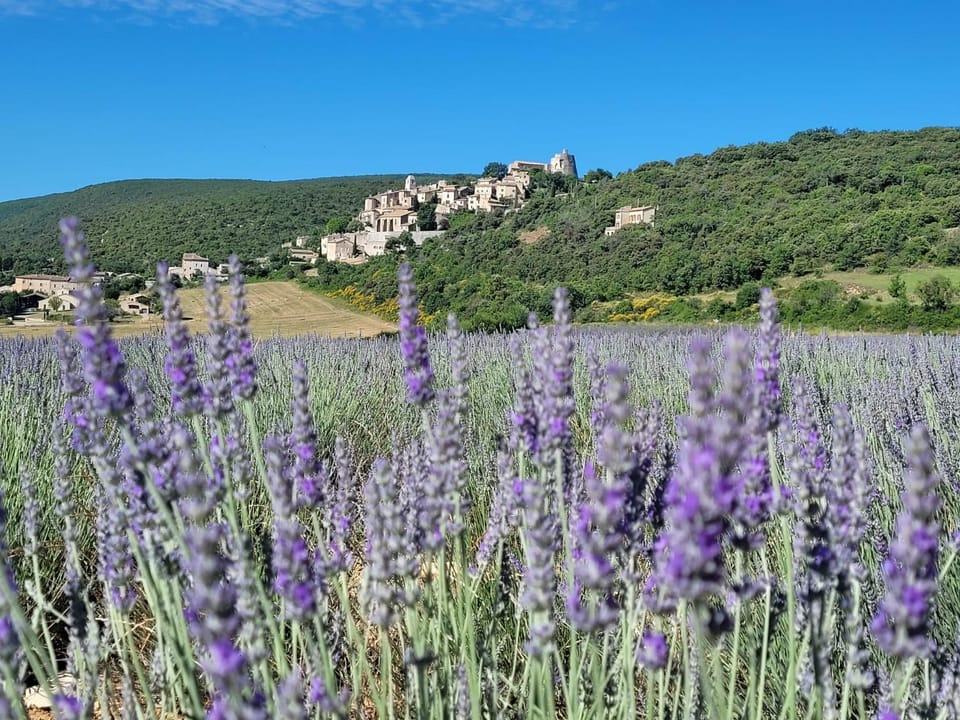 Nearby landmark, Natural landscape
