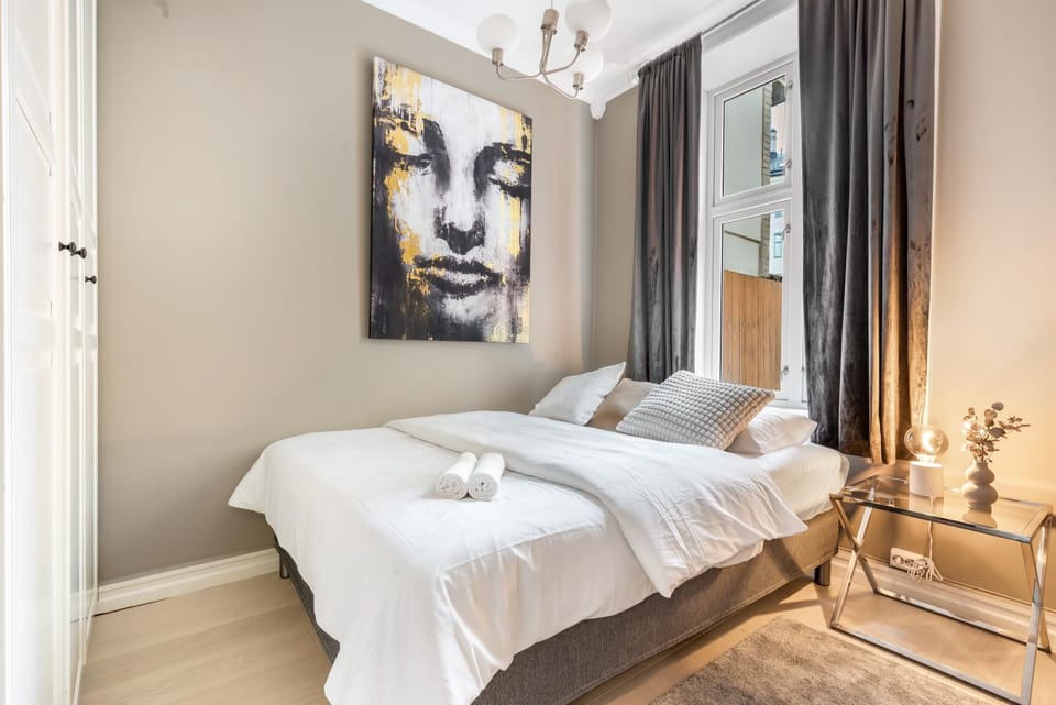 Exclusive and spacious apartment in city center Apartment in Oslo