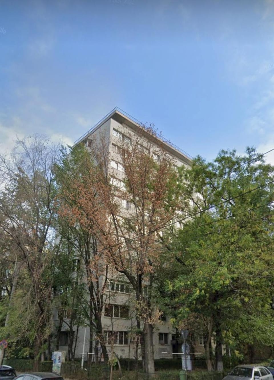 Property building, Day