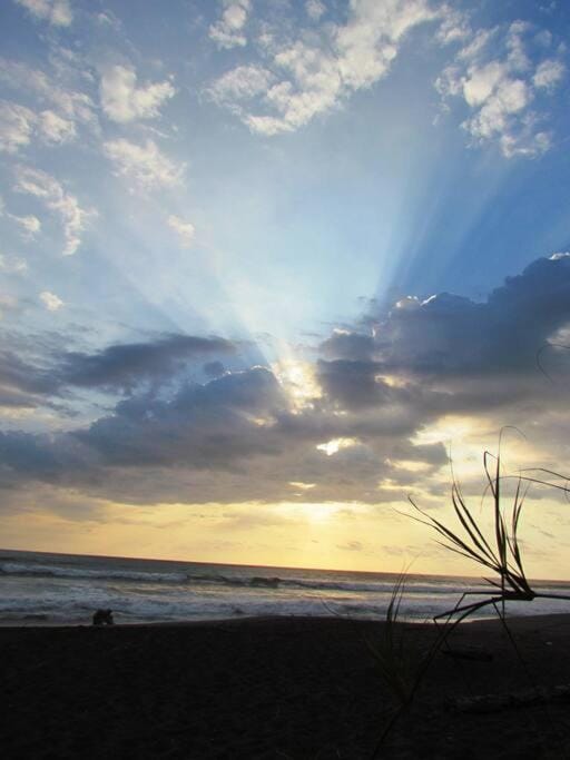 #17A Hermosa Beach Bungalow 1st floor 1 bedroom Apt Apartment in Playa Hermosa