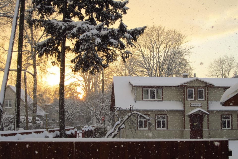Winter