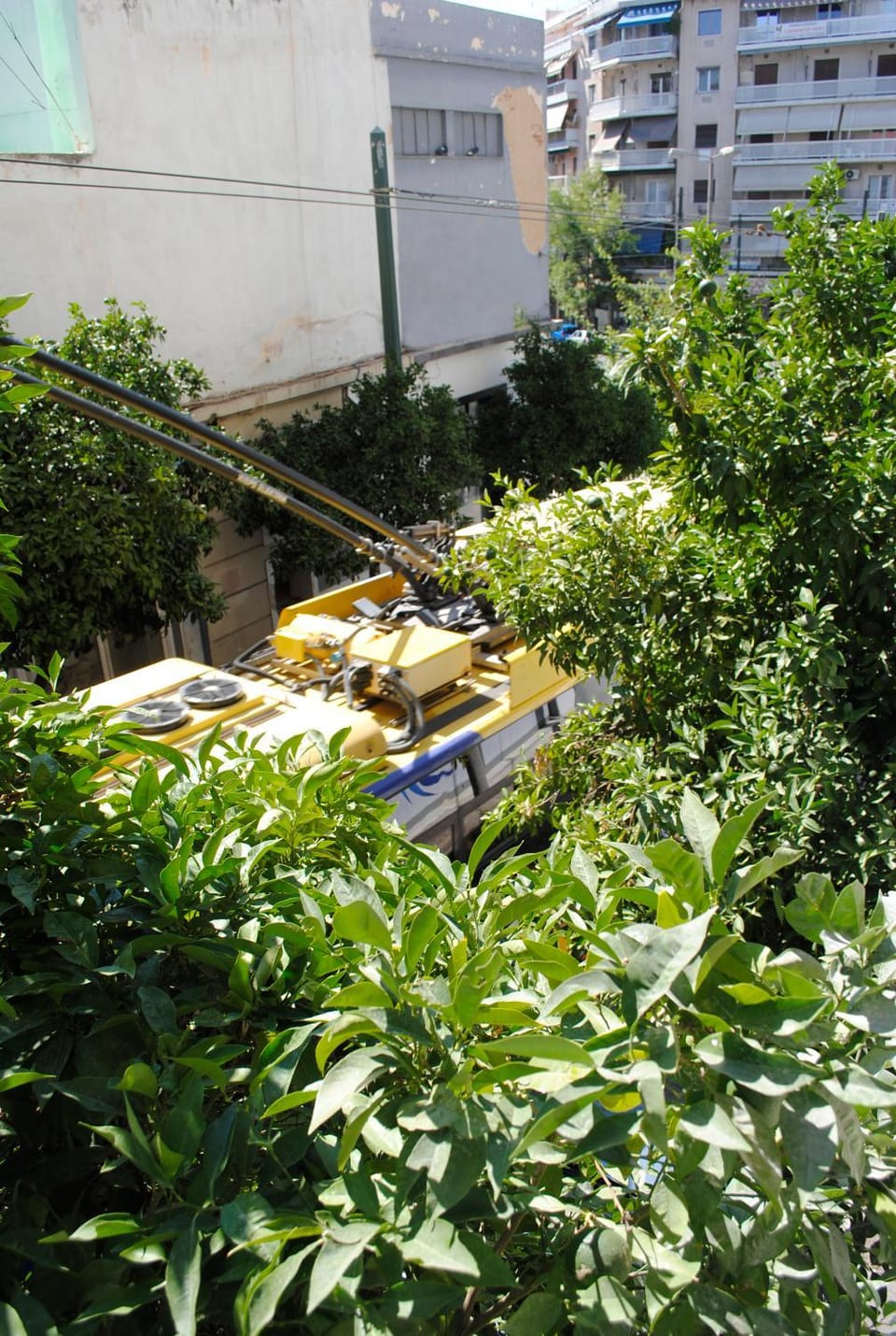 Neighbourhood, Street view
