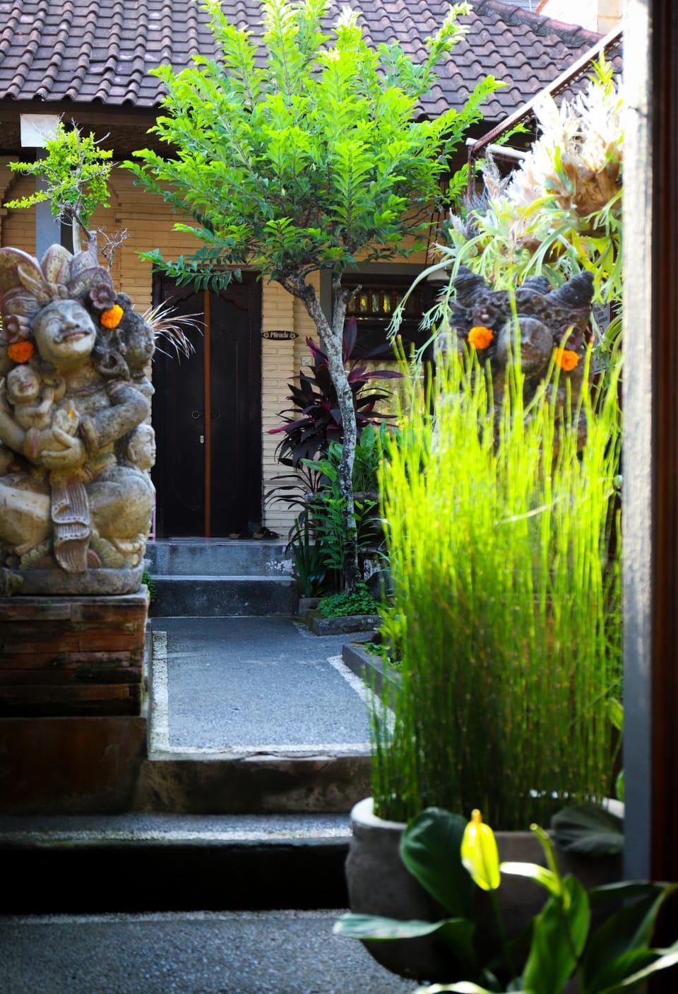 Garden view