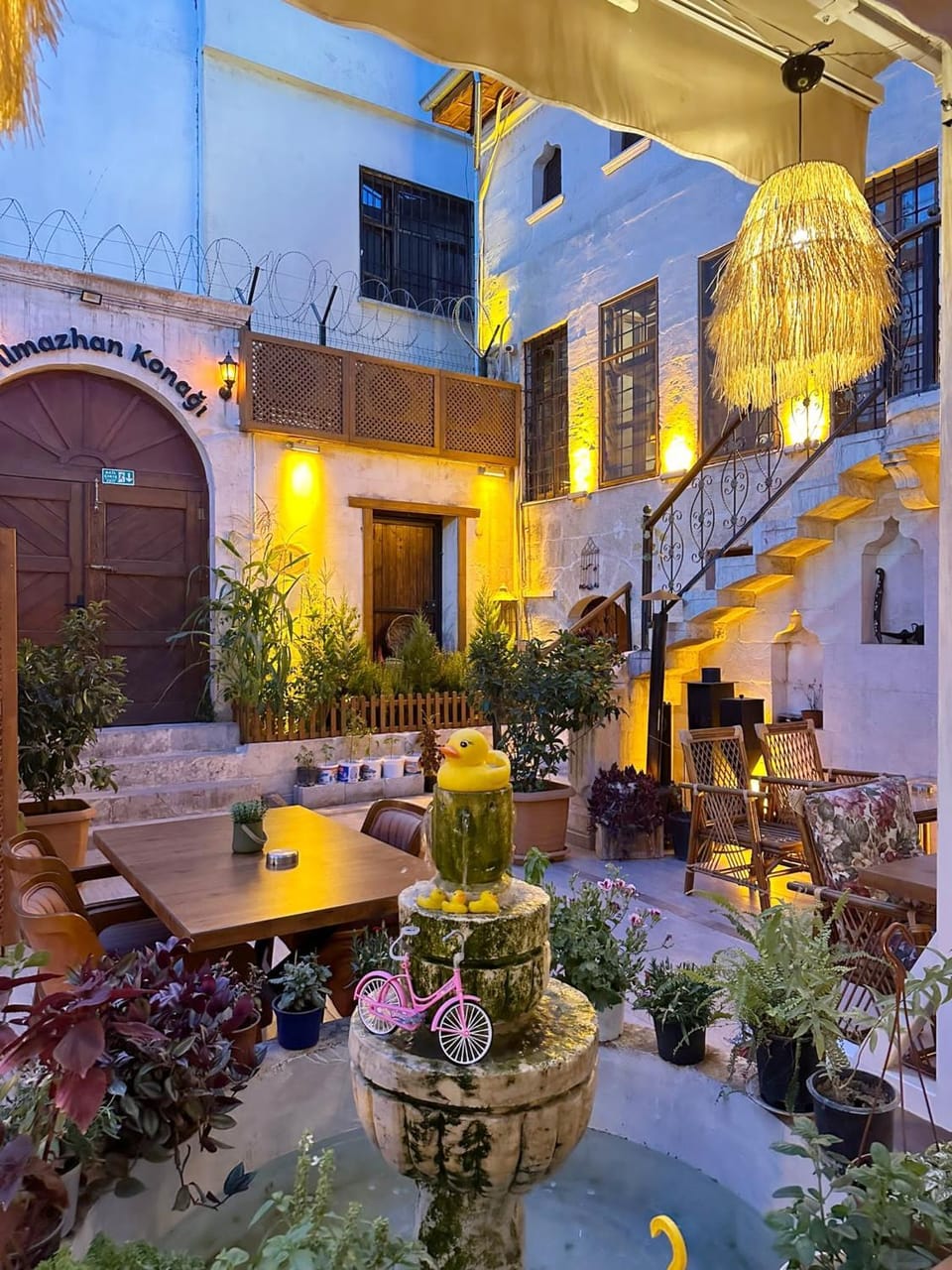 Garden view