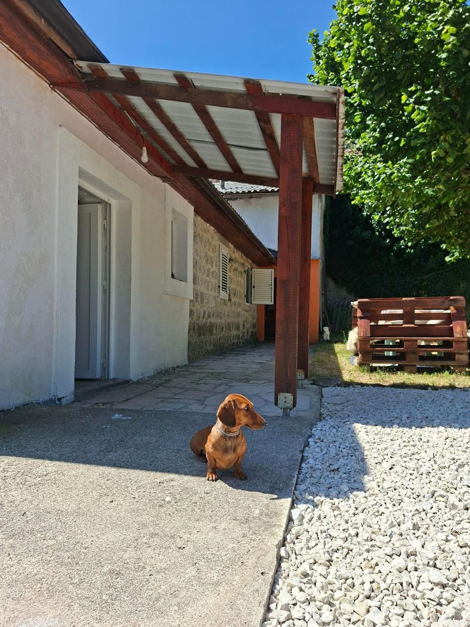 Vikendica Grahovo House in Montenegro