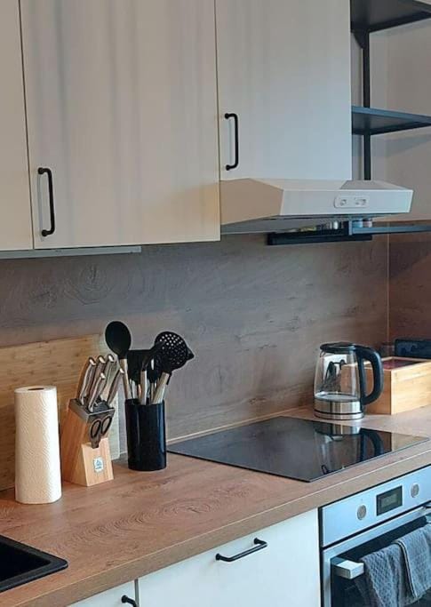 Ludwigshafen-Bahnhofsresidenz Apartment in Mannheim