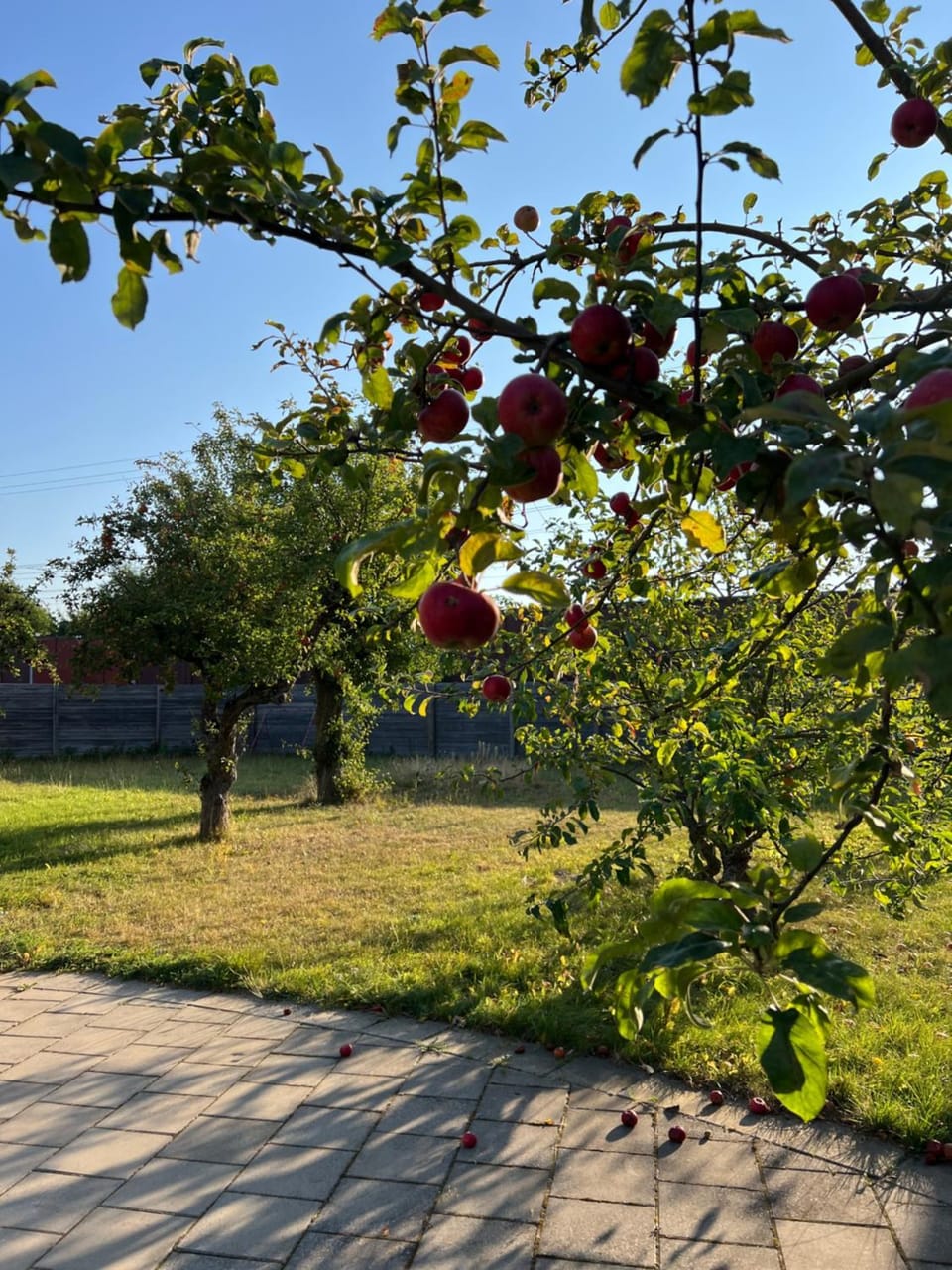 Garden, Garden view