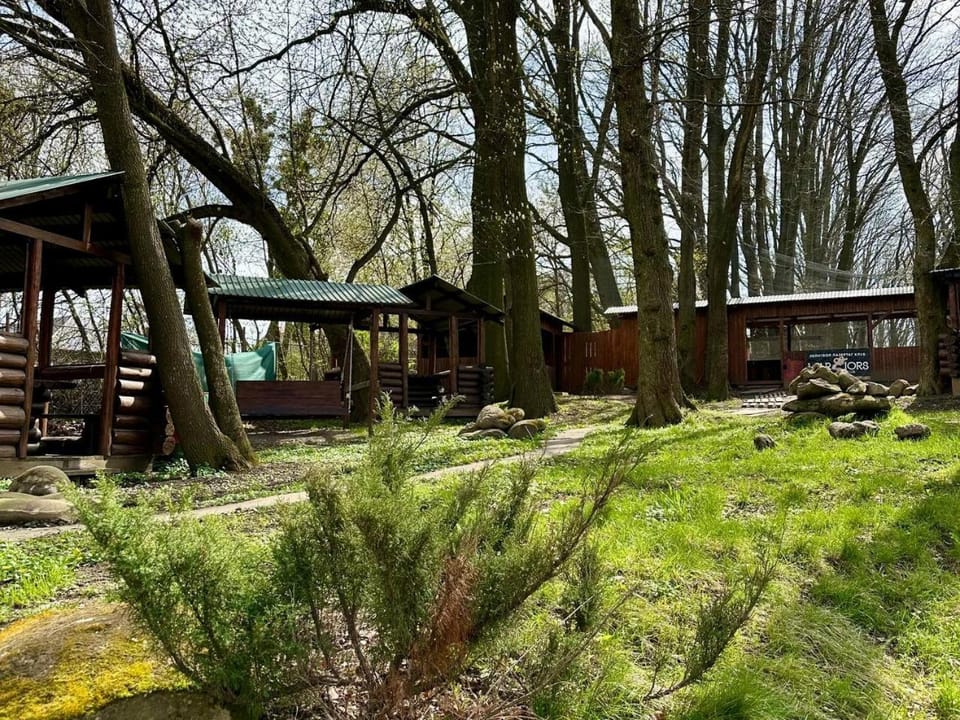 Garden, Seating area
