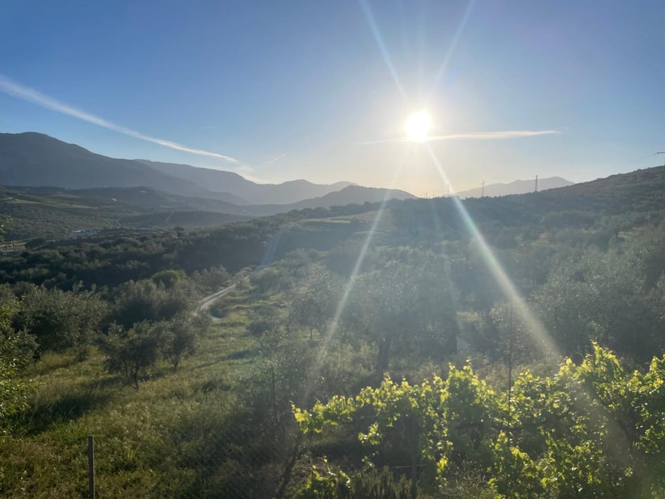 Day, Natural landscape, Garden, Garden view, Mountain view