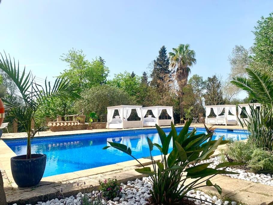 FALCO II auf Finca Zenara, große Terrasse, XXL Pool, Wifi, Klima, Yoga, Gemeinschaftsküche Apartment in Llevant