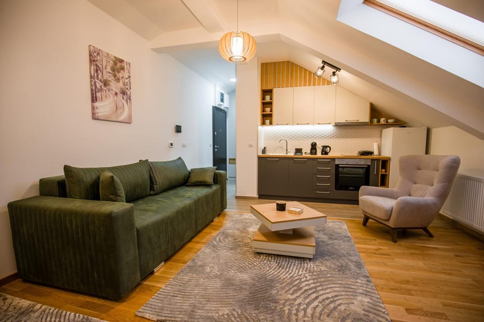 TOP VIEW apartment 40 Apartment in Serbia