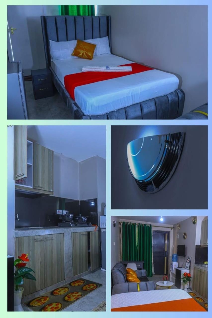 Bed, Kitchen or kitchenette, Photo of the whole room