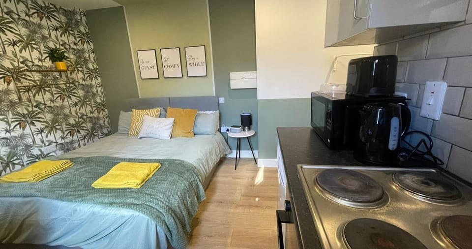 Bed, Kitchen or kitchenette, Photo of the whole room, Dining area, Bedroom, stove