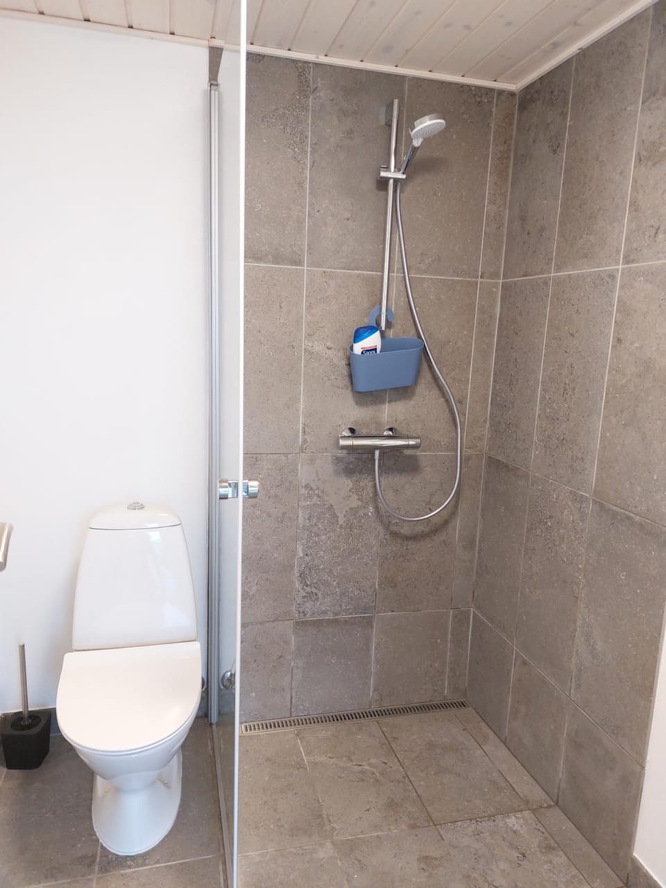 Shower, Toilet