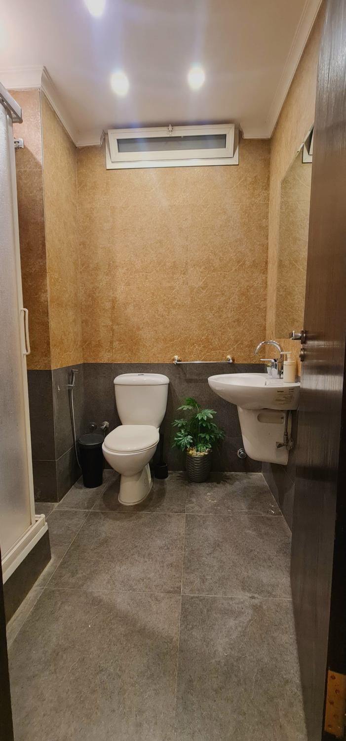 Shower, Toilet, Bathroom, bidet