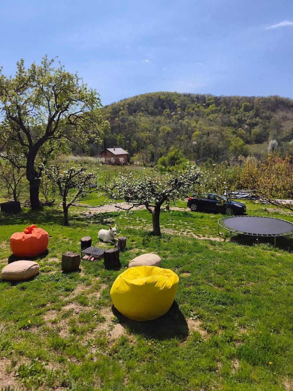 Iza sedam gora House in Novi Sad