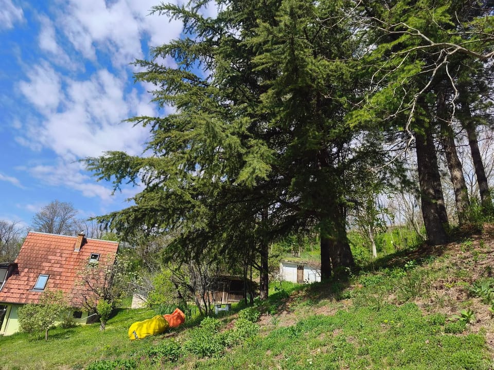 Iza sedam gora House in Novi Sad